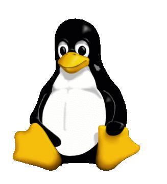 Linux Based Server